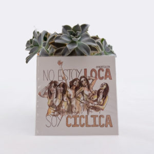 En la imagen se observa una pequeña lámina formato cuadrado amaño DIN A5, con la ilustración sobre cuerpos reales de una chica en diferentes estados de animo, titulada "No estoy loca, soy cíclica" dibujada por Eva Cortés. La fotografía es un bodegón de producto, el pequeño print está apoyado sobre una maceta con una planta suculenta y fondo neutro.